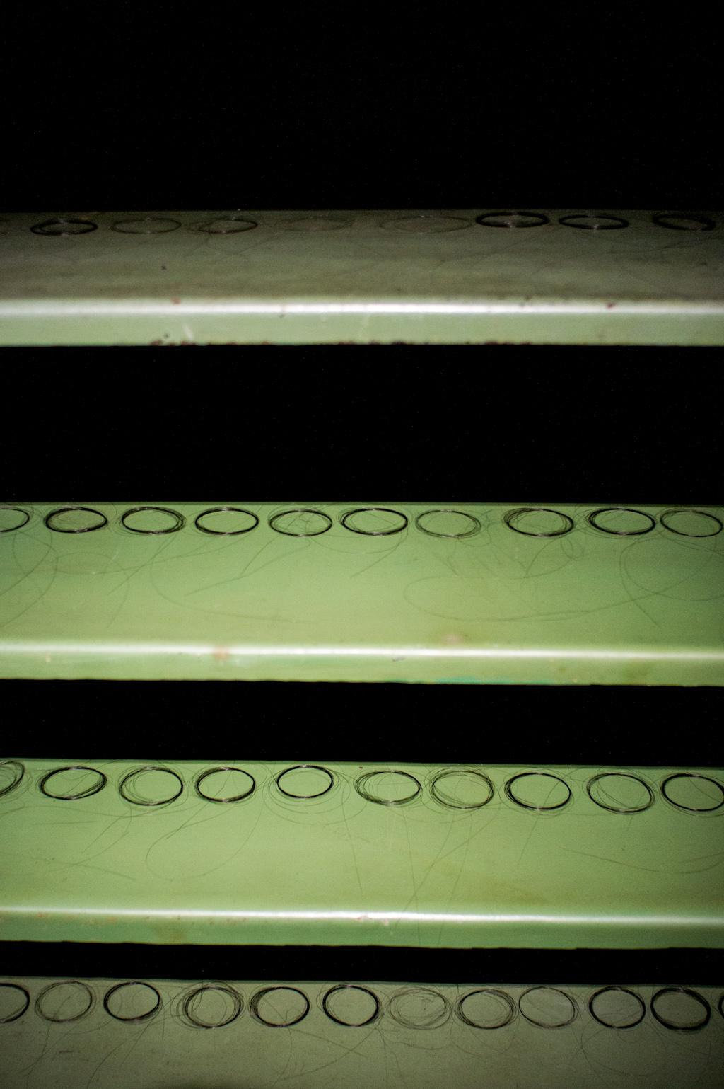 Helena Goldwater, Venice International Performance Art Week 2012