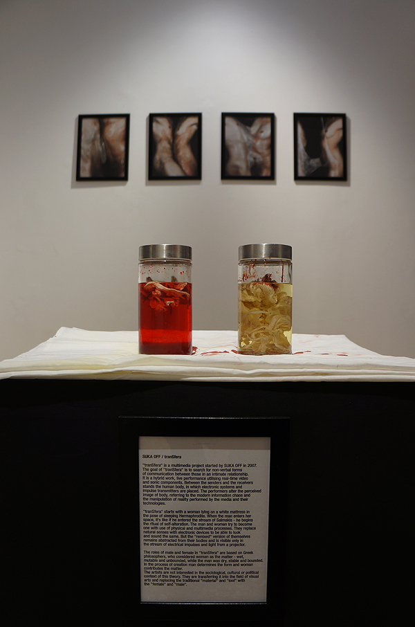 Suka Off, tranSfera (2012), live multimedia performance, and photography exhibition at the VENICE INTERNATIONAL PERFORMANCE ART WEEK 2012. Images © Monika Sobzcak