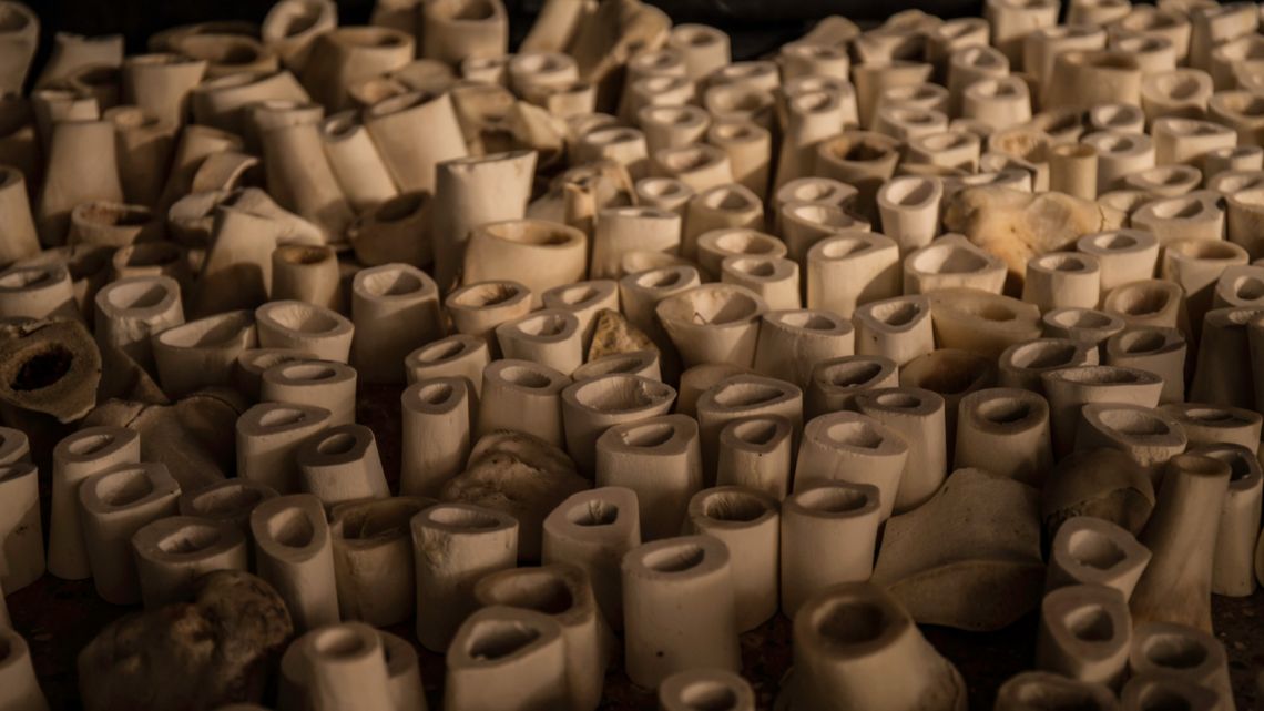 Sarah-Jane Norman, Bone Library. Detail of the installation at the Venice International Performance Art Week (2014). Photograph by Samanta Cinquini.