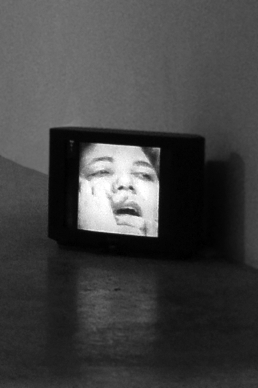 Mona Hatoum. Exhibition view of the video So Much I Want To Say (1983) at the III Venice International Performance Art Week. Image © We Exhibit